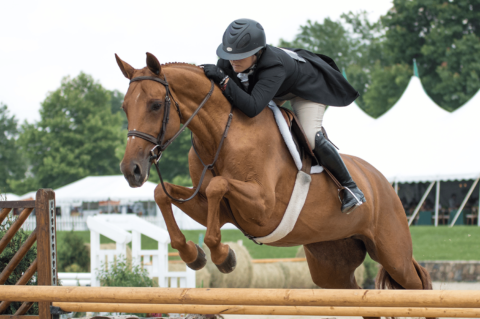 Photos & Videos | Upperville Colt & Horse Show