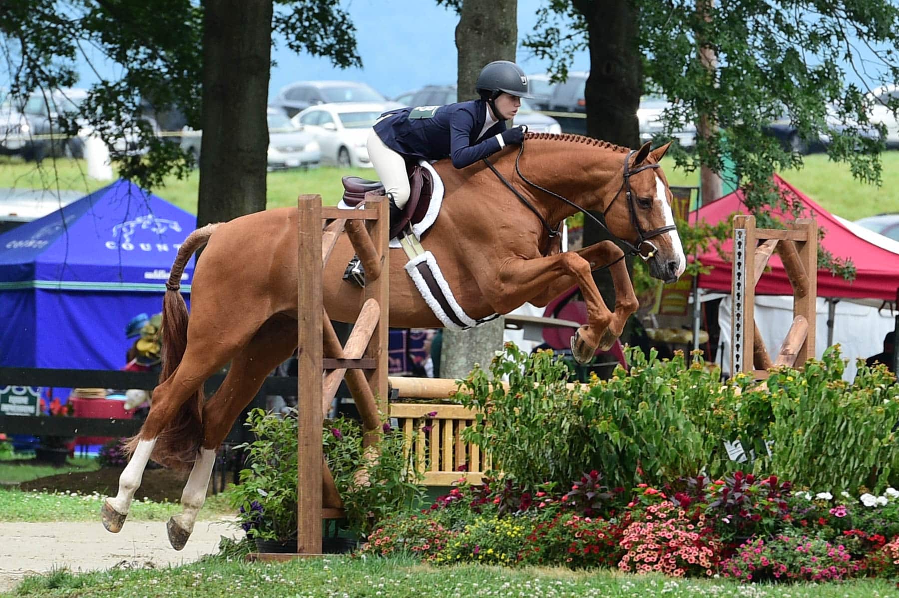 Ella Bikoff and Garfield Garner Grand Champion Junior Hunter Title