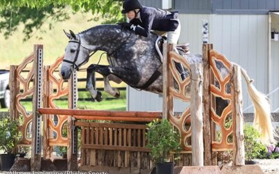 Priscilla Denegre and String of Pearls Earn $5,000 NAL/WIHS Adult Amateur Hunter Classic Win