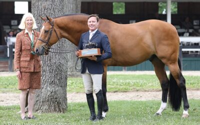 Scott Stewart Dominates Professional Hunter Divisions to Earn Grand Hunter Championship Title at Upperville Colt & Horse Show