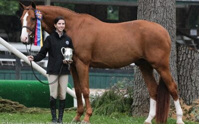 Ella Bikoff and Garfield Garner Grand Champion Junior Hunter Title