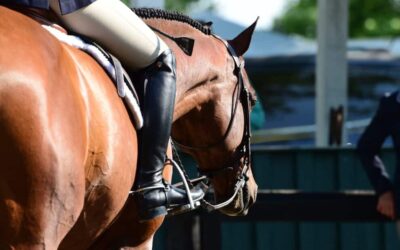 Upperville Colt & Horse Show Update from Joe Fargis