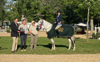 Farnley Tenspeed Earns Grand Local Pony Hunter Champion for the Abeles Family